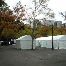 秋らしく葉が落ちつつあり寂しげな雰囲気でした。