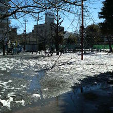 大きなジャングルジムや遊具、広場など使い勝手がいいです