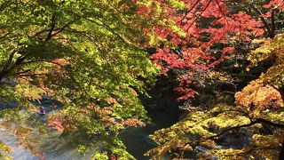 道の駅から歩いて