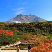 絶景、日本一早い紅葉