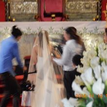 遠くから撮ったのでボケています。