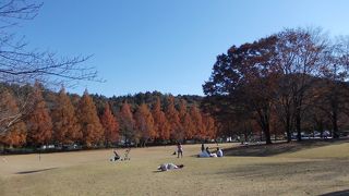 岐阜市畜産センター公園