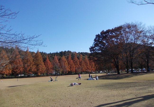 動物もたくさんいる広大な公園