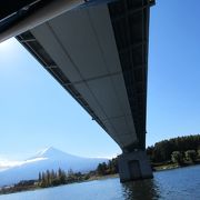 富士山とのコントラストがいいですね