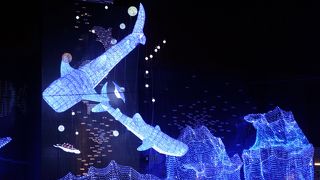 ことしもイルミネーションがやって来た