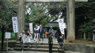 上野東照宮の大石鳥居は、５ｍを超える鳥居で、江戸時代の鳥居の中で最大です。