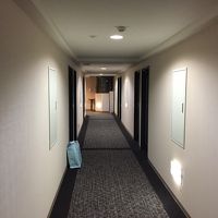 客室階の廊下です。