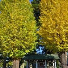 神社と銀杏の樹