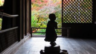 境内の紅葉はこれからでした。（2016/11/12）