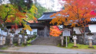 やっぱり、ここが一番好き ♪