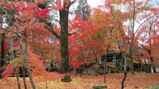さすが紅葉の永観堂