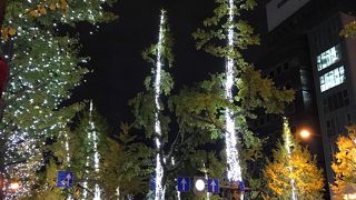 御堂筋がキラキラ