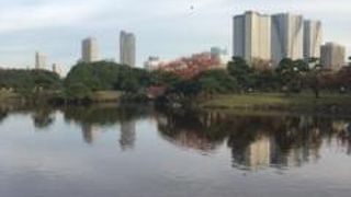 お散歩にちょうどいい