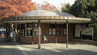 広い敷地にお花がたくさんあります。