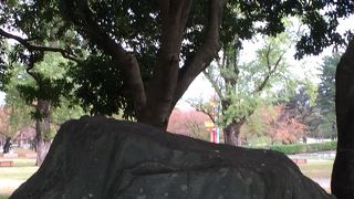 櫓が再現されています