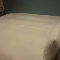 ツインですがこんな感じ