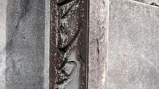 足腰が丈夫になりそう