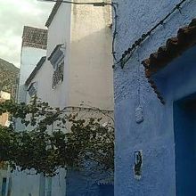 青が足りなくなった？