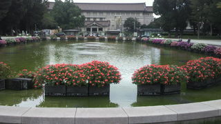 竹の台噴水とは、上野公園の中央部にある噴水で、大噴水とも呼ばれているようです。