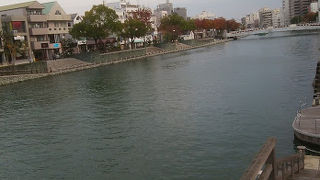 河川沿いの普通の公園