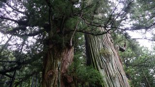 本当に素晴らしい迫力です。