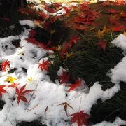 紅葉絶景の禅寺