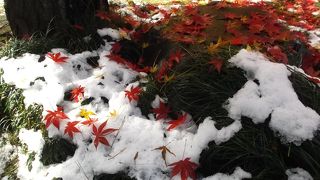 紅葉絶景の禅寺
