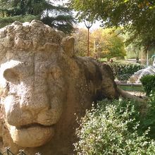 アトラスライオン