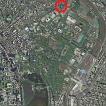 現在の寛永寺は、東北の赤○部分に僅かな敷地を有するだけです。