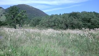 ススキの原の向こうに優しい山容を見る