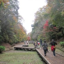 滝周辺の散策路