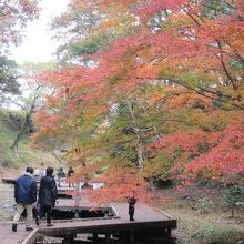 滝周辺の散策路