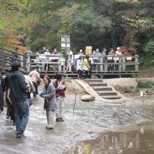 多くの観光客が来ています