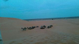 ラクダに乗って朝日鑑賞