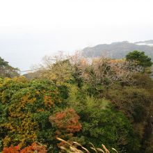 頂上付近からの眺め