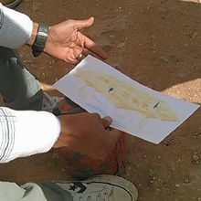 あぶり出しの絵