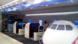 フライトシミュレーター　したい放題　