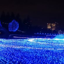 東京ミッドタウン クリスマスイルミネーション