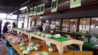 緑が多くてのんびりできる