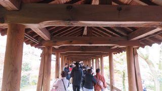 有料で入っても、通天橋からの写真撮影禁止！！！