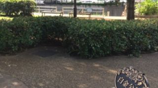 古川沿いのリバーサイド公園