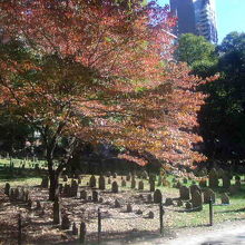 秋色の墓地の景観