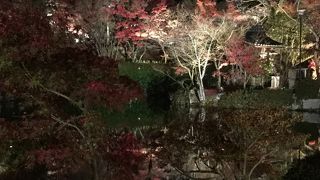 紅葉も綺麗ですが、ご本尊も忘れずに…