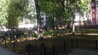 秋の雰囲気が素敵でした