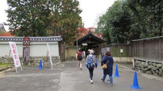 混雑した紅葉シーズンの対応