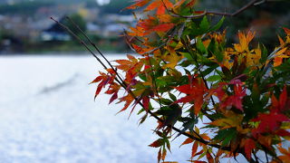 湖面の輝きはまるで鱗のよう