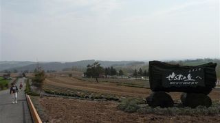 観光案内所も併設 