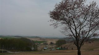 もっとも美瑛らしい景色 