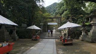 噂通り、高いところにあります