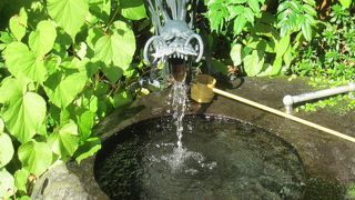 天成園の庭園の湧き水